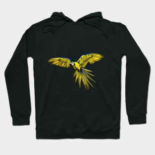 Blue And Yellow Macaw Drawing Hoodie